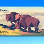 North Dakota driver’s license with bison artwork.
