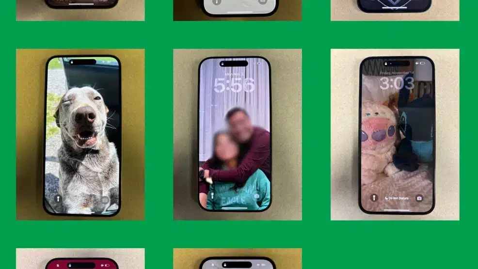 Several recovered iPhones displayed with different lock screen photos.