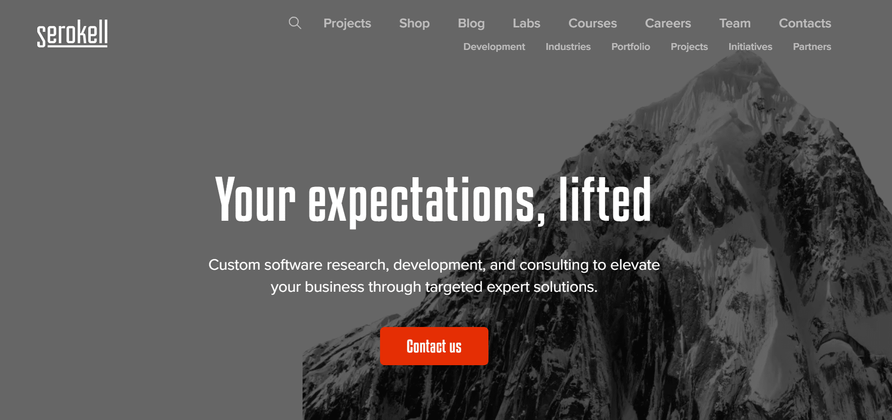 Best Artificial Intelligence Development Services in the US