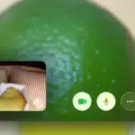 FaceTime screen showing a lime in the background during a video call.