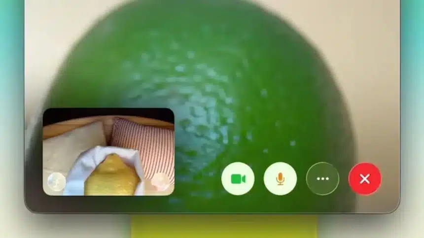 FaceTime screen showing a lime in the background during a video call.