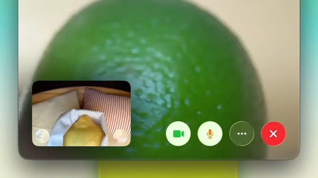FaceTime screen showing a lime in the background during a video call.