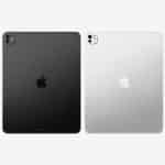 Black and silver iPads shown side by side from the back.
